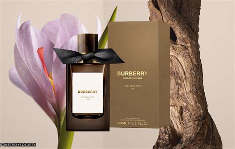 burberry kissenbezug|Burberry signatures for men.